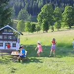 Brandhof *