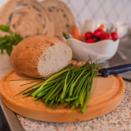 公寓 Brandhof 拉姆绍达赫斯坦