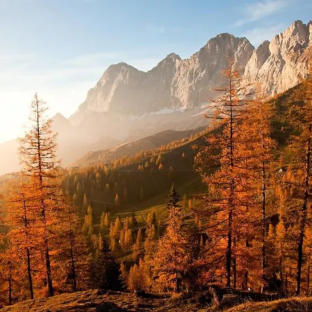 Brandhof * Ramsau am Dachstein