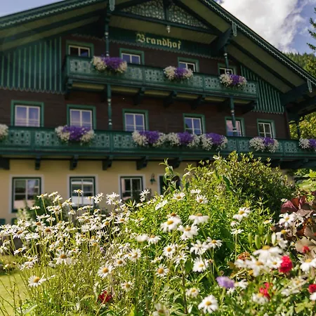 Apartament Brandhof