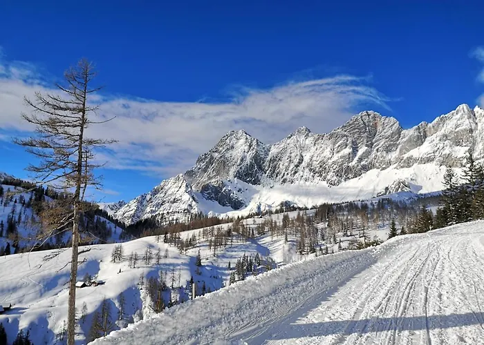 Brandhof דירה רמסאו אם דכשטיין